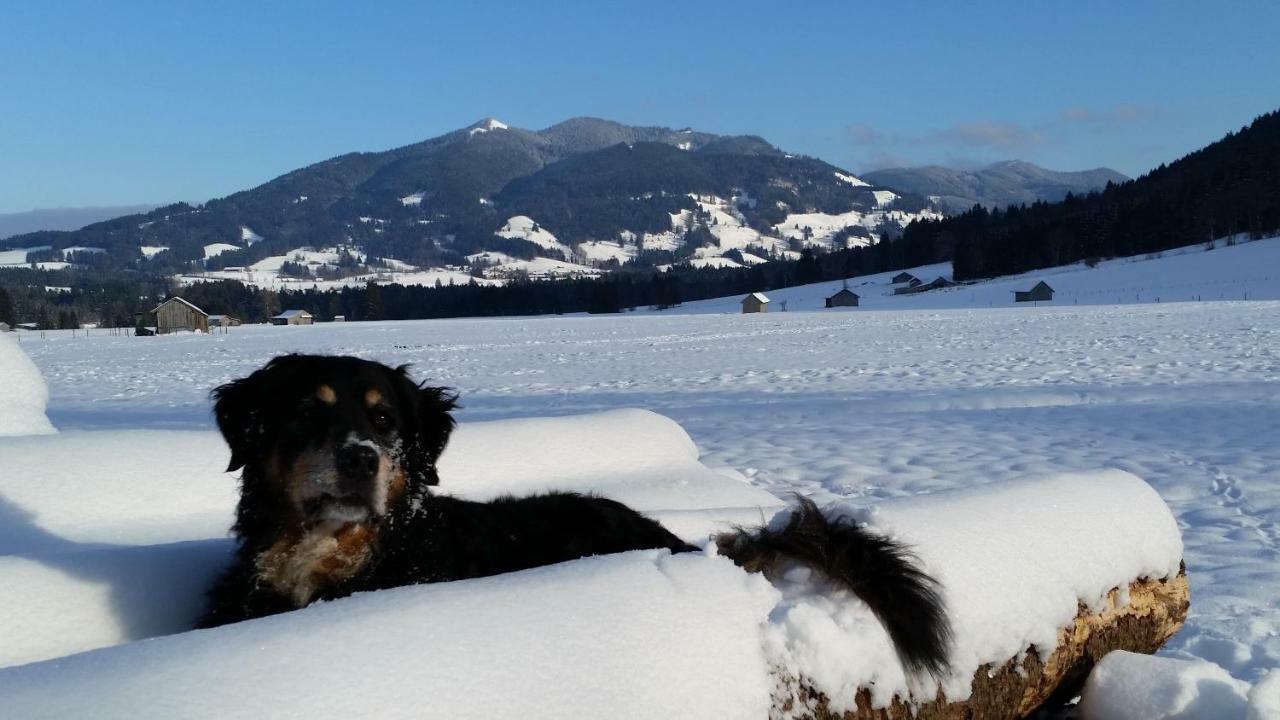 Im-Oberland - Tal - Appartement Bad Kohlgrub Buitenkant foto