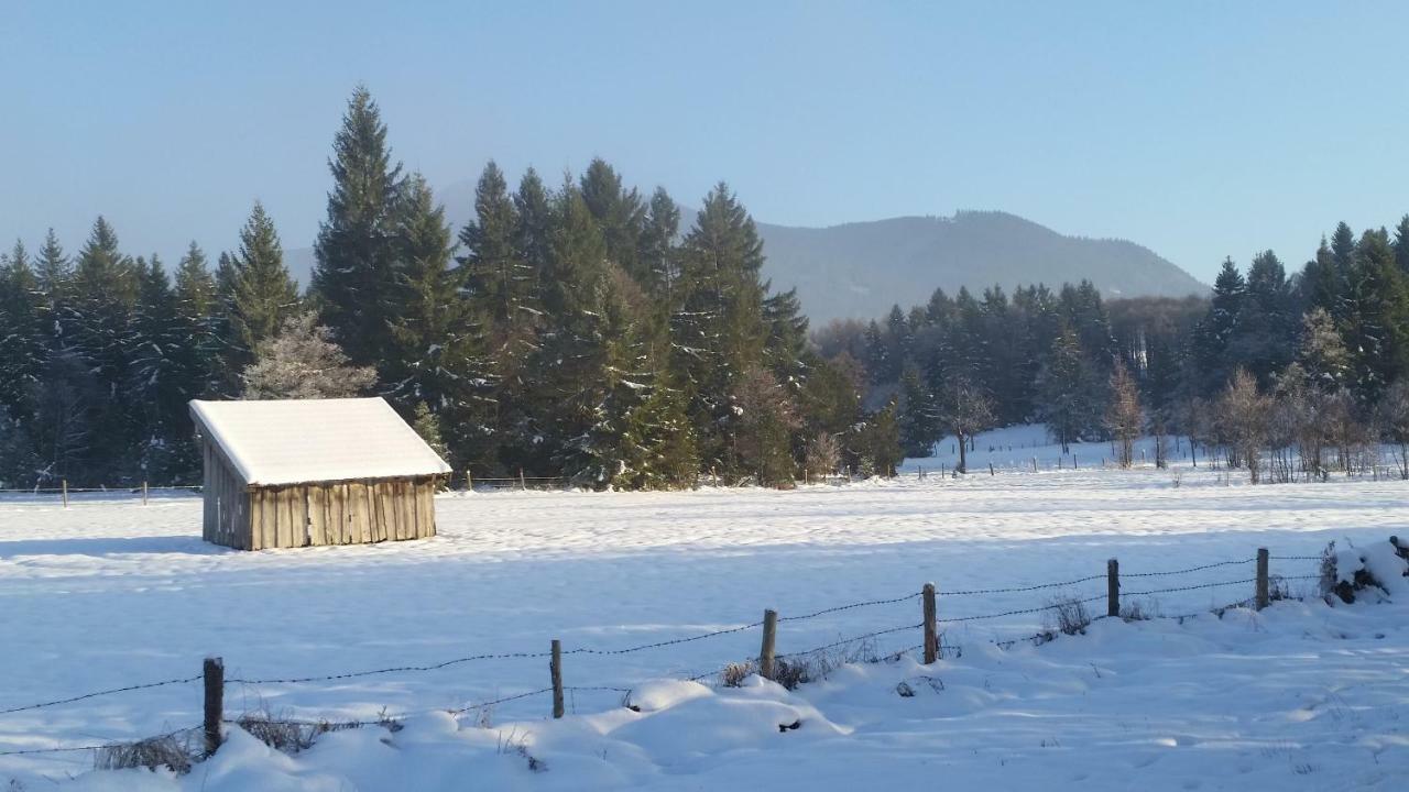 Im-Oberland - Tal - Appartement Bad Kohlgrub Buitenkant foto