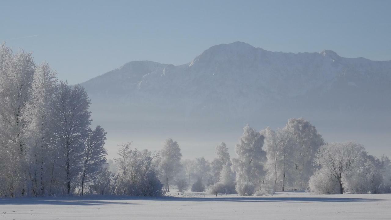 Im-Oberland - Tal - Appartement Bad Kohlgrub Buitenkant foto