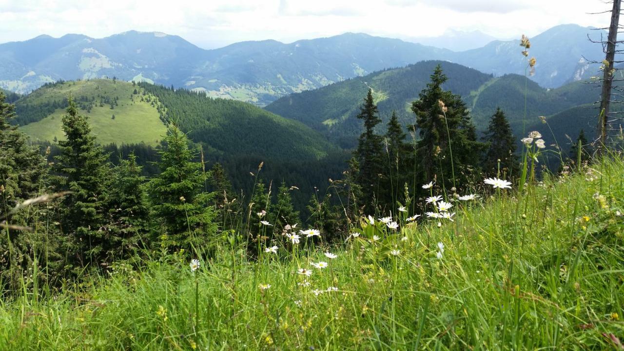 Im-Oberland - Tal - Appartement Bad Kohlgrub Buitenkant foto